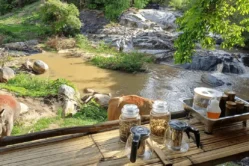 Joy Elephant Sanctuary1_image