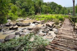 Joy Elephant Sanctuary4_image