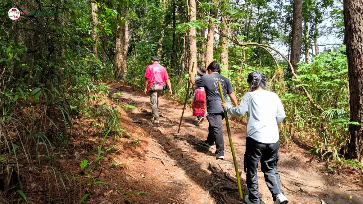 Joy Elephant Sanctuary6_image Joy Elephant Sanctuary6_image