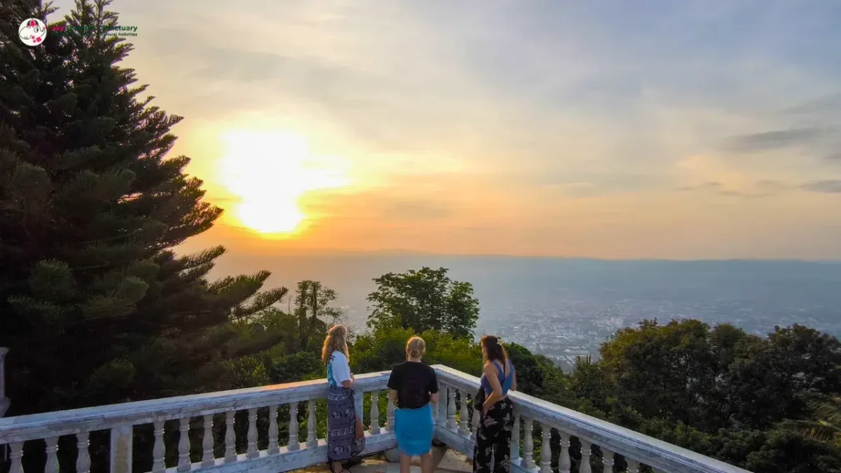 Joy Elephant Sanctuary7_image Joy Elephant Sanctuary7_image