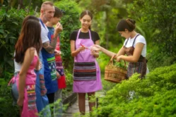 Mama Noi Thai Cookery School