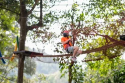 กิจกรรมกลางแจ้งที่โป่งแยงจังเกิ้ลโคสเตอร์แอนด์ซิปไลน์ (1)_image