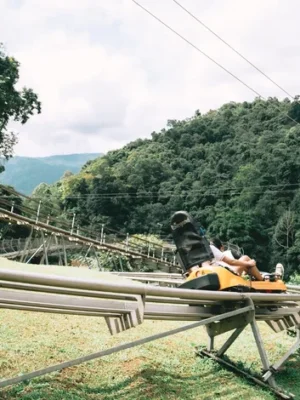 ทัวร์โป่งแยง จังเกิ้ล โคสเตอร์, ชิงช้ายักษ์ และจังเกิ้ล เดอ คาเฟ่ในเชียงใหม่ครึ่งวัน