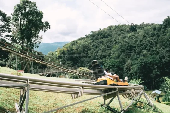 Half Day Tour to Pongyang Jungle Coaster, Giant Swing and Jungle de Cafe in Chiang Mai