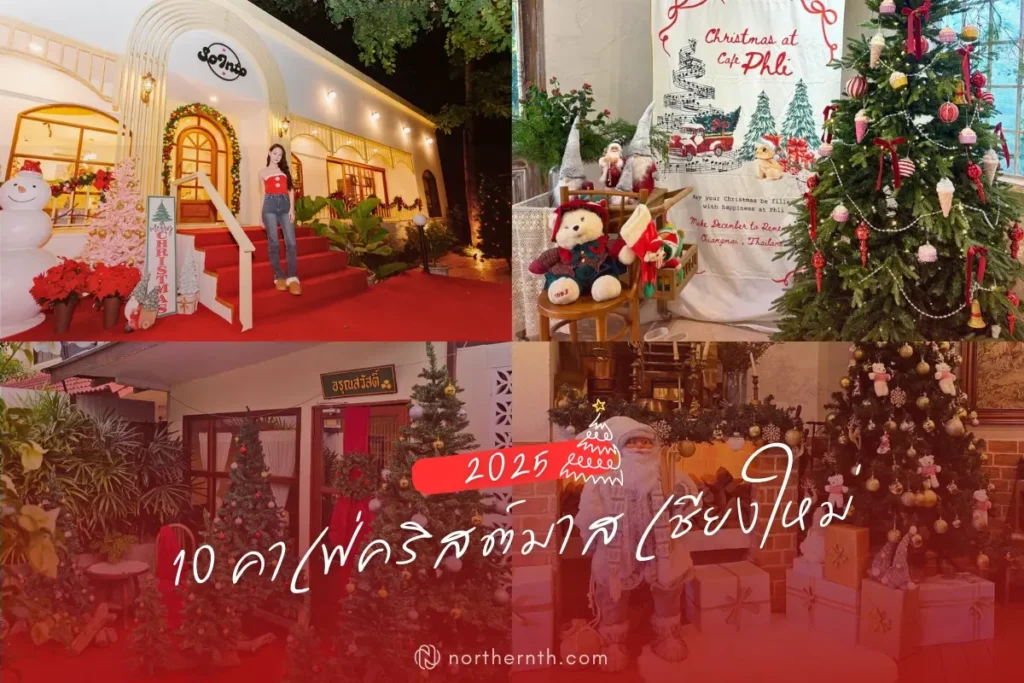 10 คาเฟ่คริสต์มาส เชียงใหม่ 2025 (10 Christmas Cafes in Chiang Mai) ที่รวบรวมมุมถ่ายรูปสวยๆ ต้นคริสต์มาส และไฟตกแต่งอลังการ.